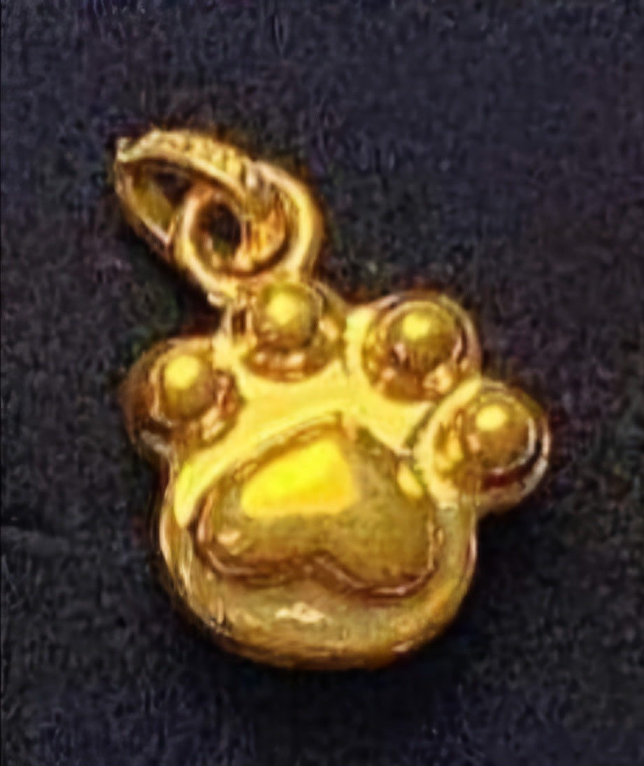 Paw ampaw Pendant